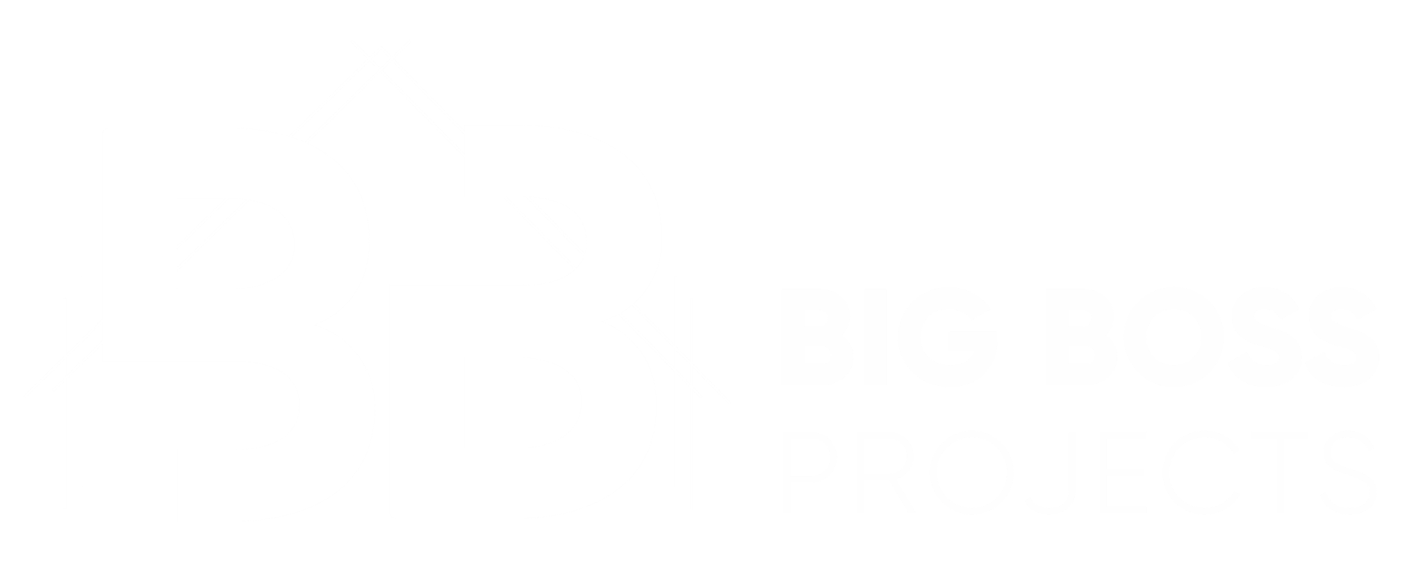 Big Boss Projects